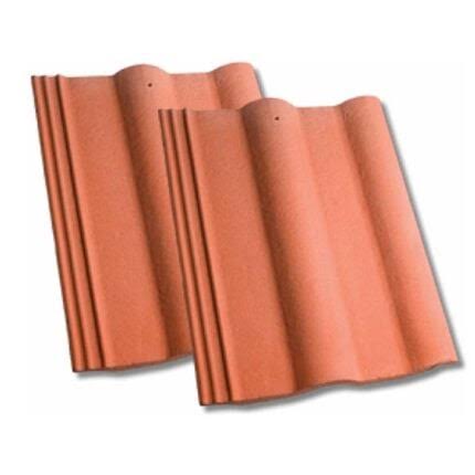Pair of terracotta concrete roof tiles